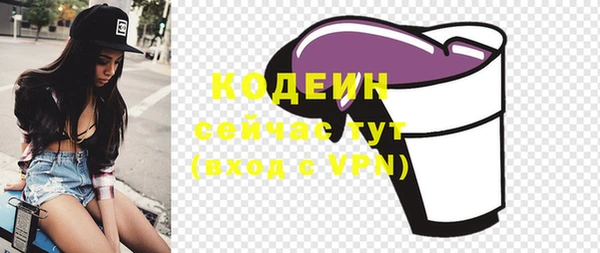 дживик Вяземский