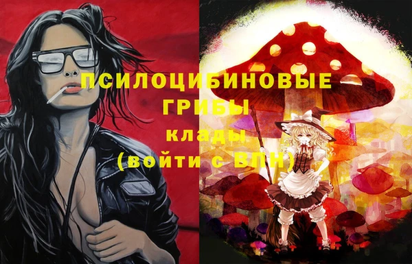 дживик Вяземский