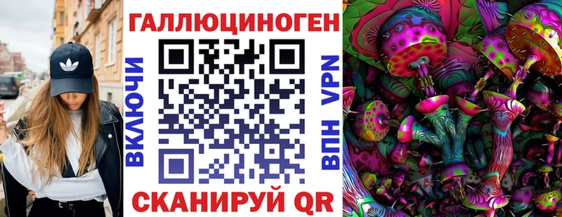 Псилоцибиновые грибы Cubensis  продажа наркотиков  Дагестанские Огни 
