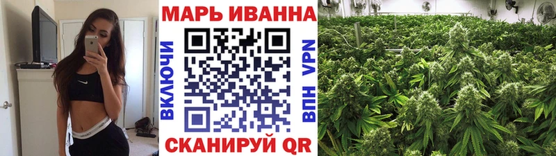 Бошки марихуана план  купить наркоту  Дагестанские Огни 